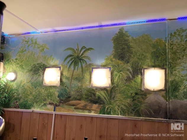muurschildering
                                                  jamaica lounge
                                                  amsterdam