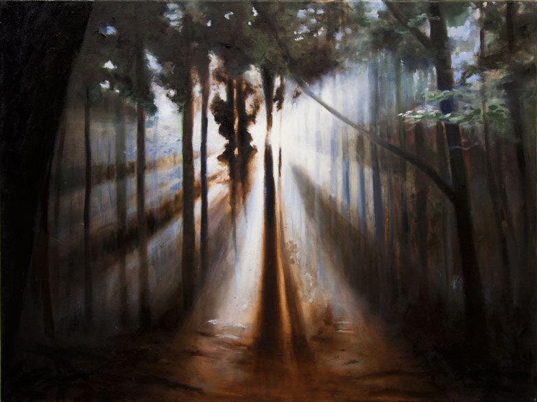 schilderij evelien nijeboer -
                                  verkocht